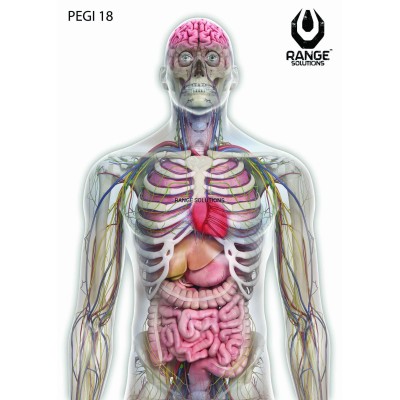 Terč RANGE SOLUTIONS Pegi 18 70x50cm 1ks