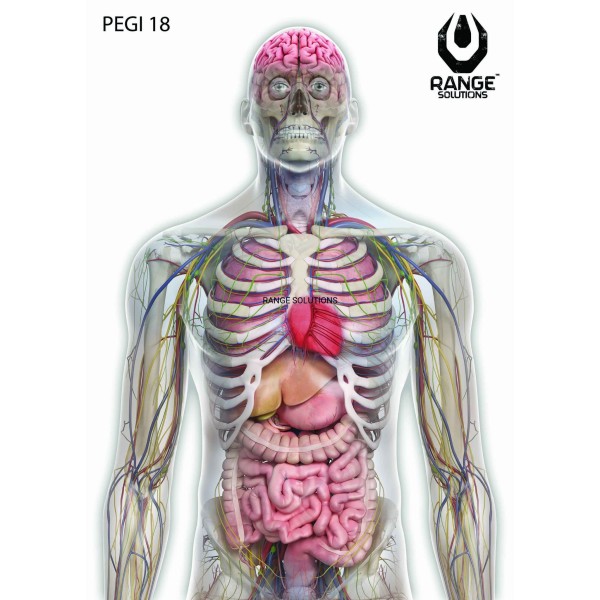 Terč RANGE SOLUTIONS Pegi 18 70x50cm 1ks