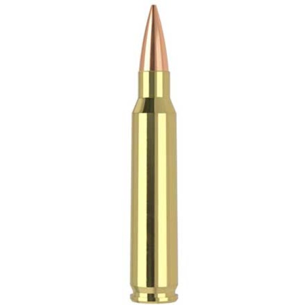 Náboj STV .223 REM, 55gr FMJ