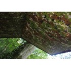 Plachta nepremokavá viacúčelová UTEX SK Digital Púšť - 2 x 1,6m