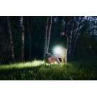 Svietidlo ručné LED ARMYTEK Prime C2 Magnet USB - nabíjateľné