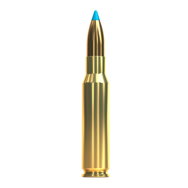Náboj S&B 308 Win. TXRG 165grs/10,7g